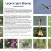 860-Brenne-Insektenwelt-cc