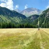 016 Wiesengrund in Poschiavo-c